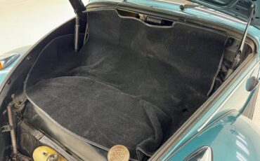 Unknown-Beetle-1967-Java-Green-Black-35