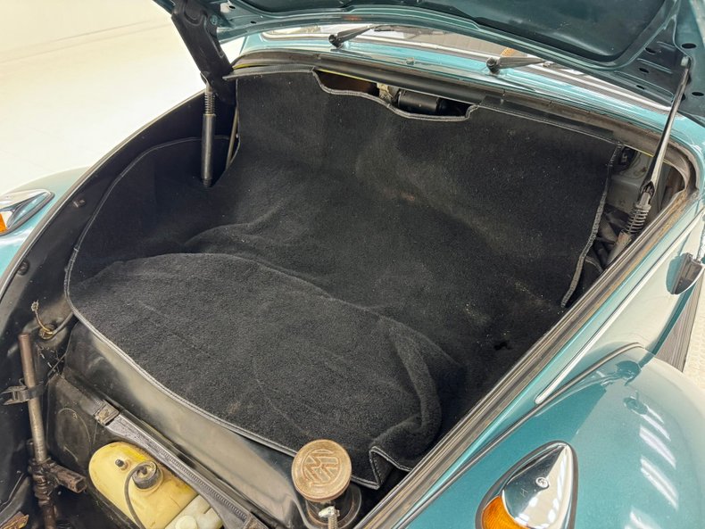 Unknown-Beetle-1967-Java-Green-Black-35