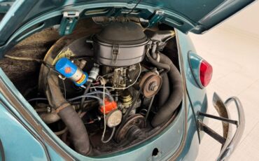 Unknown-Beetle-1967-Java-Green-Black-39