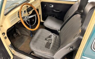 Unknown-Beetle-1967-Java-Green-Black-40