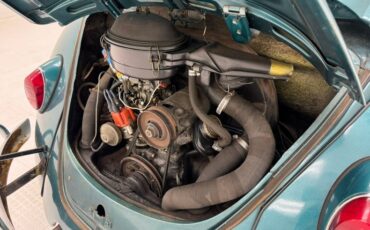 Unknown-Beetle-1967-Java-Green-Black-43