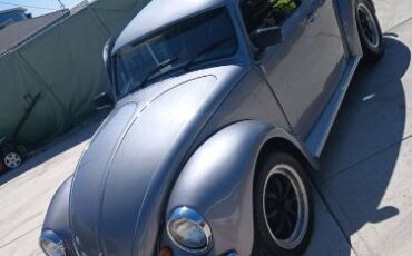 Unknown-Beetle-1967-Silver-6