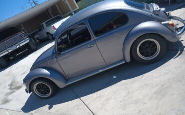 Unknown-Beetle-1967-Silver-7