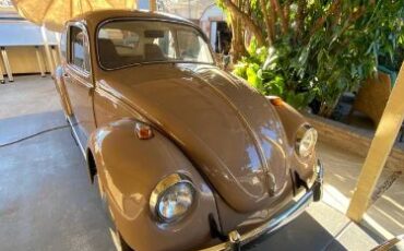 Unknown-Beetle-1968-1