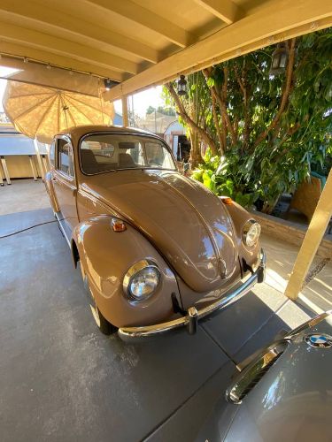 Unknown-Beetle-1968-1