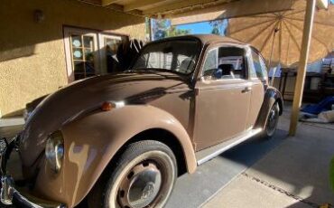 Unknown-Beetle-1968-11