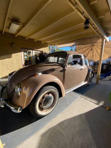 Unknown-Beetle-1968-11