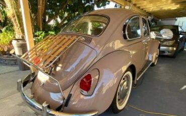 Unknown-Beetle-1968-2