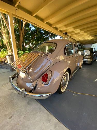 Unknown-Beetle-1968-2
