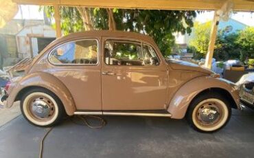 Unknown-Beetle-1968-8