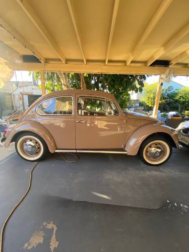 Unknown-Beetle-1968-8