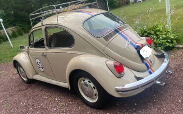 Unknown-Beetle-1968-Custom-1