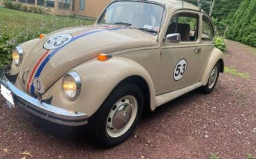 Unknown-Beetle-1968-Custom-13
