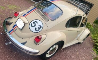 Unknown-Beetle-1968-Custom