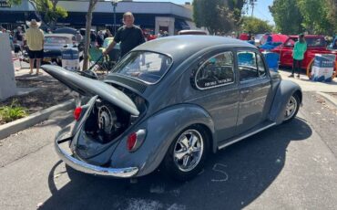 Unknown-Beetle-1968-Gray-3