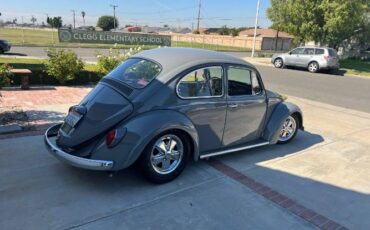 Unknown-Beetle-1968-Gray-7