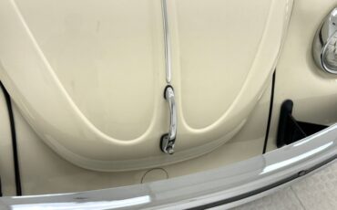 Unknown-Beetle-1968-Ivory-Black-15