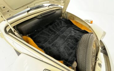 Unknown-Beetle-1968-Ivory-Black-29