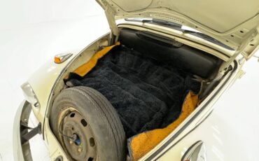 Unknown-Beetle-1968-Ivory-Black-31