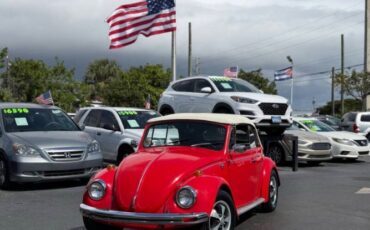Unknown-Beetle-1968-Red-Black
