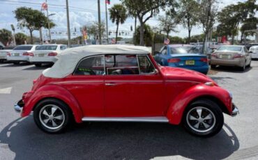 Unknown-Beetle-1968-Red-Black-5