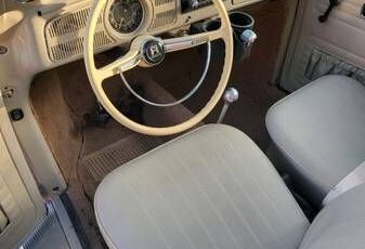 Unknown-Beetle-1968-Tan-Tan-10