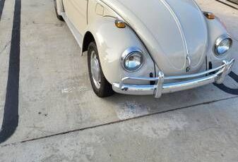 Unknown-Beetle-1968-Tan-Tan-11