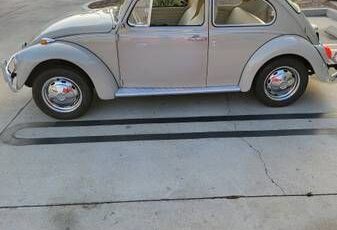 Unknown-Beetle-1968-Tan-Tan-12