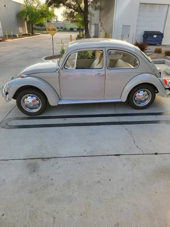 Unknown-Beetle-1968-Tan-Tan-12