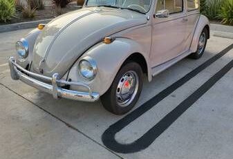 Unknown-Beetle-1968-Tan-Tan