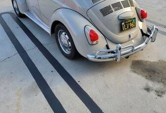Unknown-Beetle-1968-Tan-Tan-8