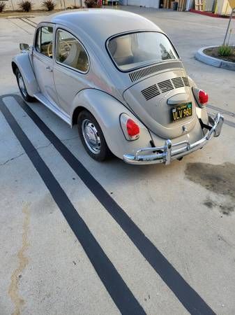 Unknown-Beetle-1968-Tan-Tan-8
