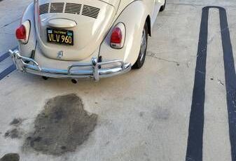 Unknown-Beetle-1968-Tan-Tan-9