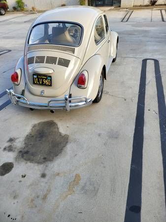 Unknown-Beetle-1968-Tan-Tan-9