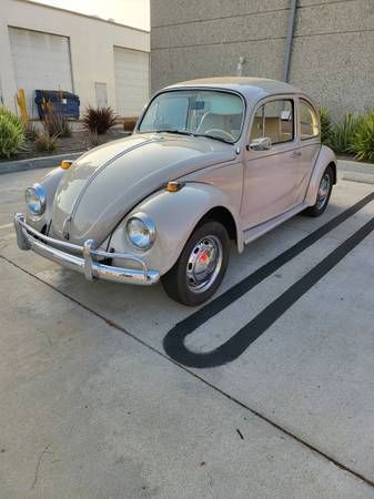 Unknown-Beetle-1968-Tan-Tan