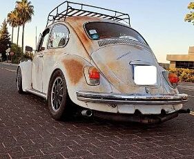 Unknown-Beetle-1968-White-1