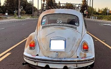Unknown-Beetle-1968-White-3