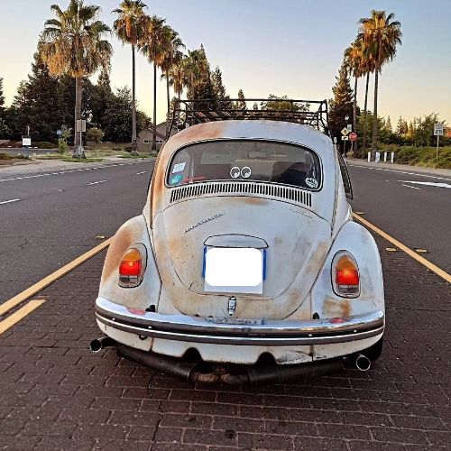 Unknown-Beetle-1968-White-3