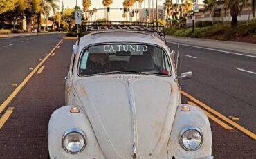 Unknown-Beetle-1968-White