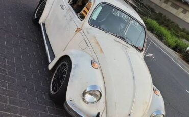 Unknown-Beetle-1968-White-4