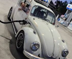 Unknown-Beetle-1968-White-6