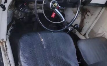 Unknown-Beetle-1968-White-7