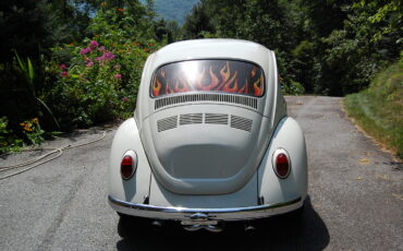 Unknown-Beetle-1968-White-Black-3