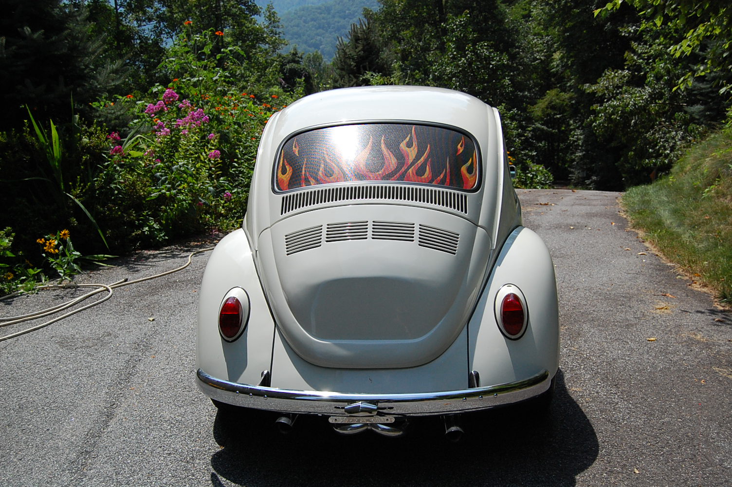 Unknown-Beetle-1968-White-Black-3