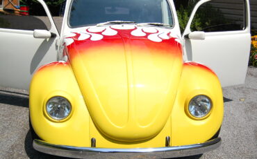 Unknown-Beetle-1968-White-Black-8