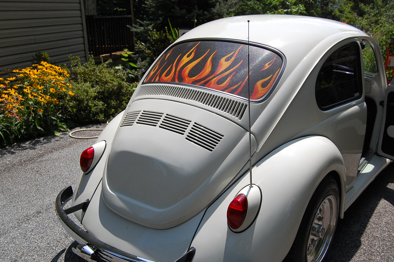 Unknown-Beetle-1968-White-Black