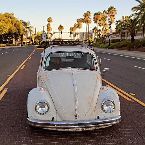 Unknown-Beetle-1968-White