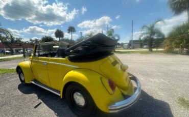 Unknown-Beetle-1968-Yellow-10