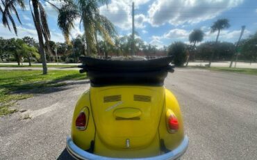 Unknown-Beetle-1968-Yellow-11