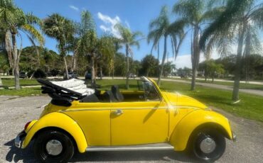 Unknown-Beetle-1968-Yellow-13